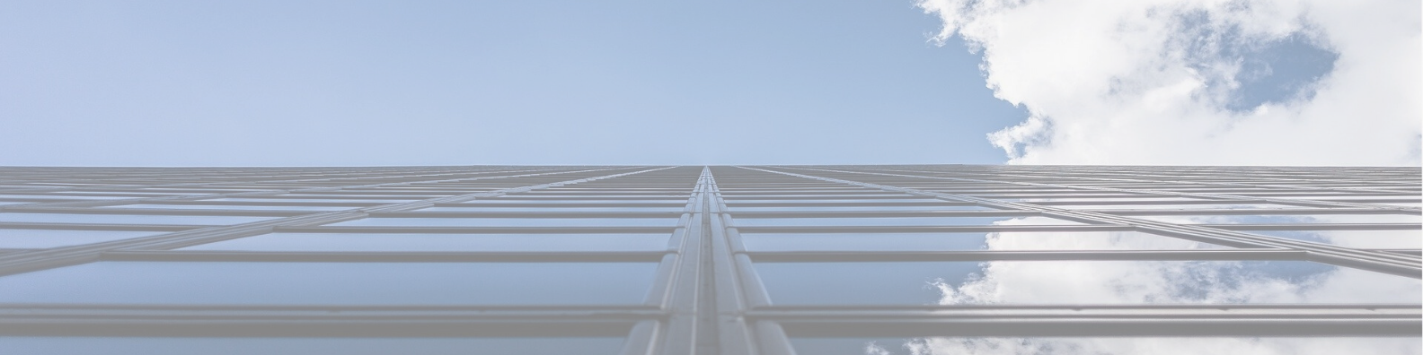 Untitled design (3)